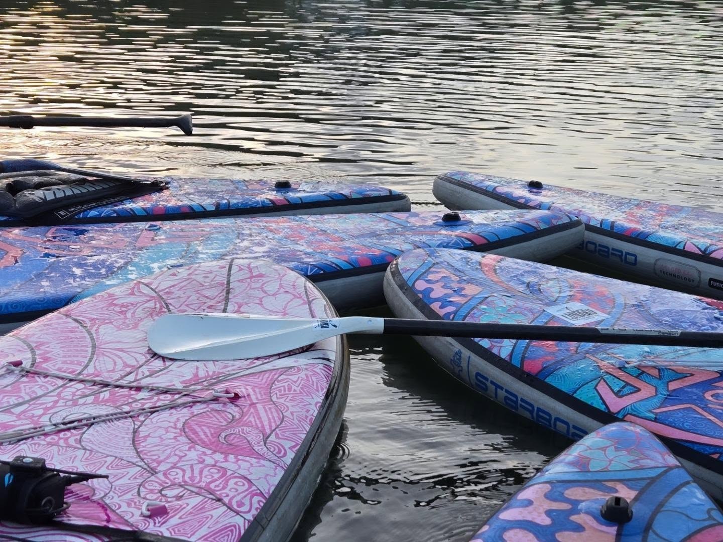 Colourful paddleboards gathered on the water with paddles resting on their decks