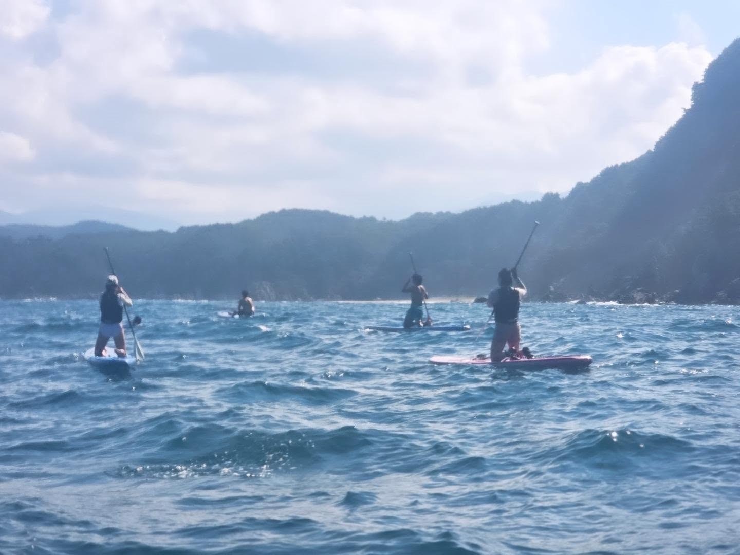 The group paddling across blue water towards a wooded, rocky coastline