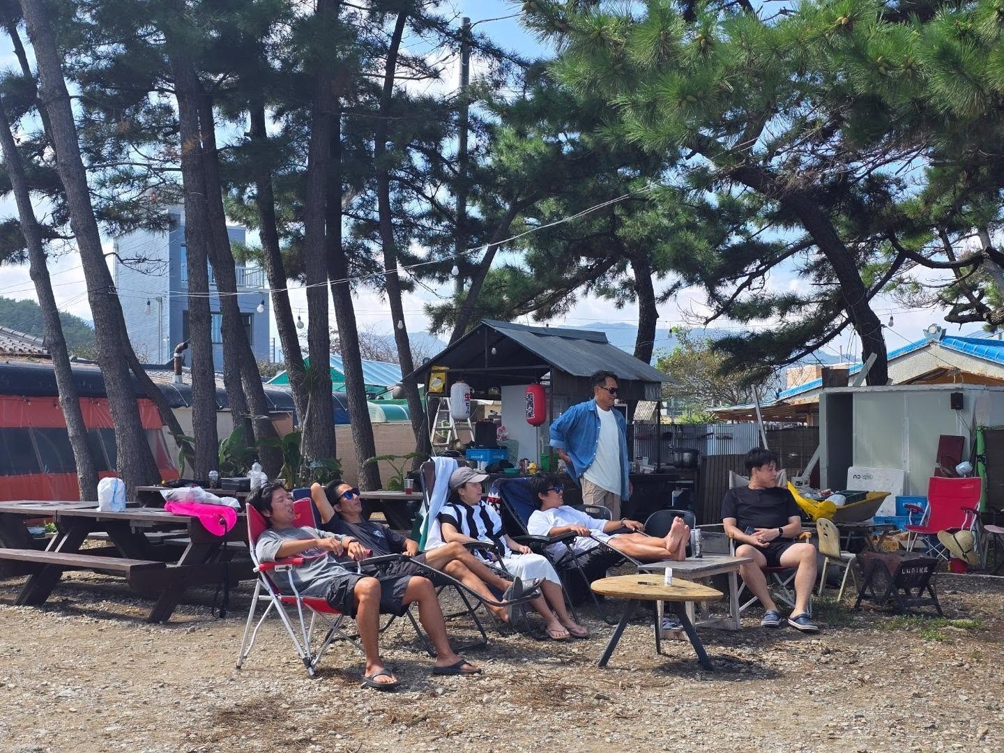 Tour participants relaxing in camping chairs beneath pine trees