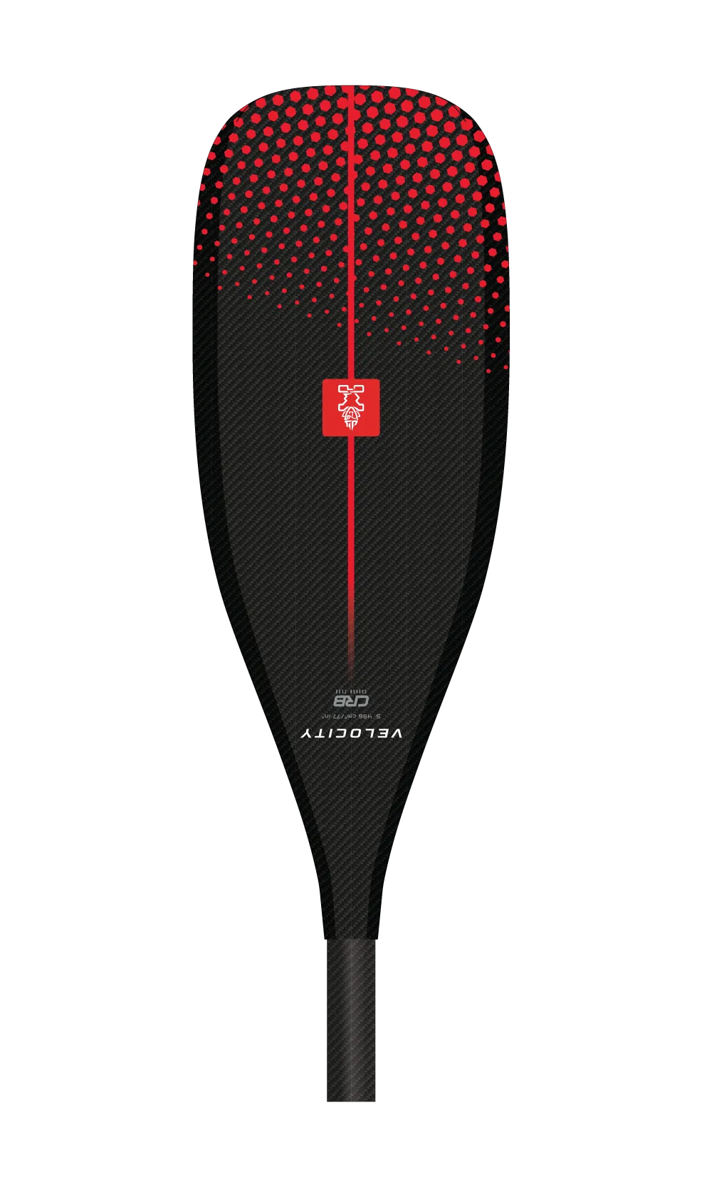 VELOCITY CARBON 이미지 4