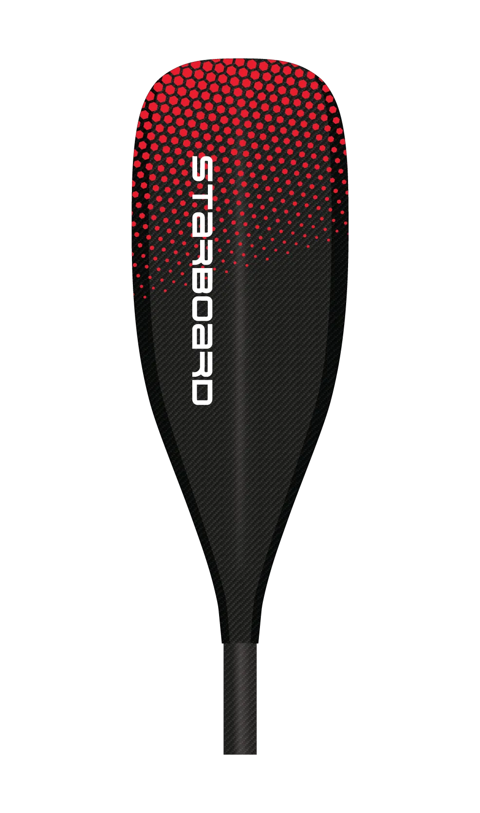 VELOCITY CARBON 이미지 5
