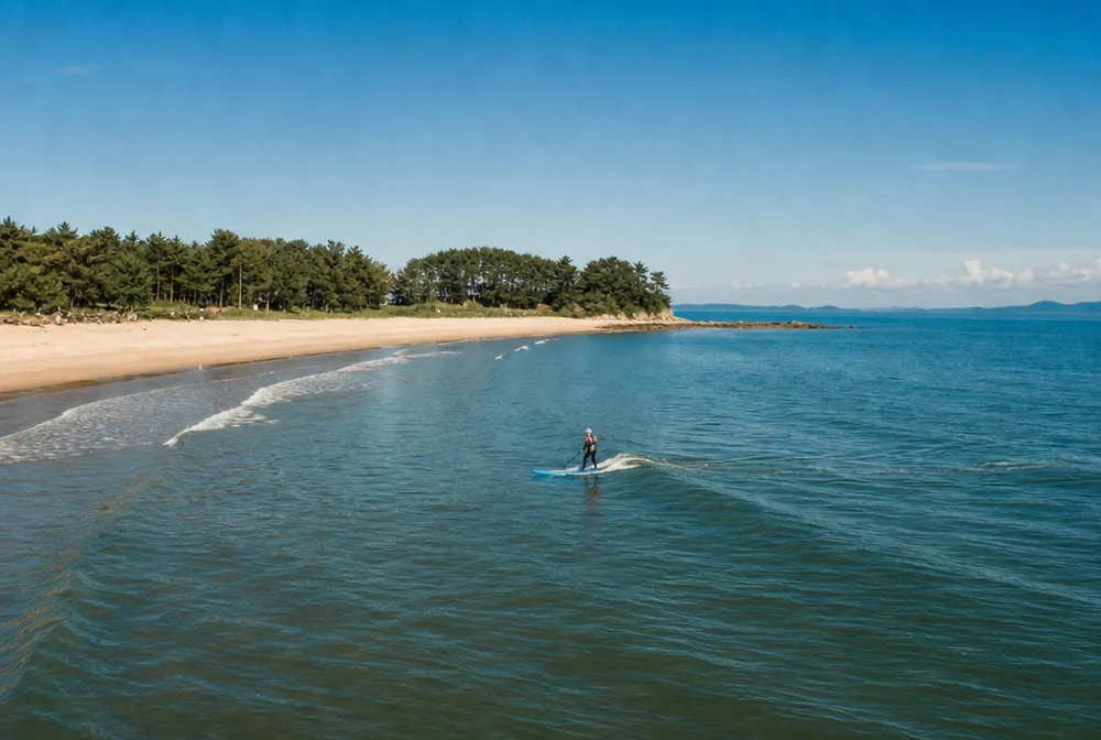 Image of Mallipo's curved beach and the west coast's small waves